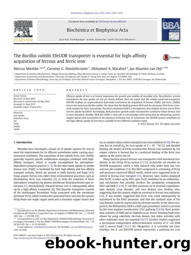 The Bacillus subtilis EfeUOB transporter is essential for high-affinity acquisition of ferrous and ferric iron by Marcus Miethke & Carmine G. Monteferrante & Mohamed A. Marahiel & Jan Maarten van Dijl