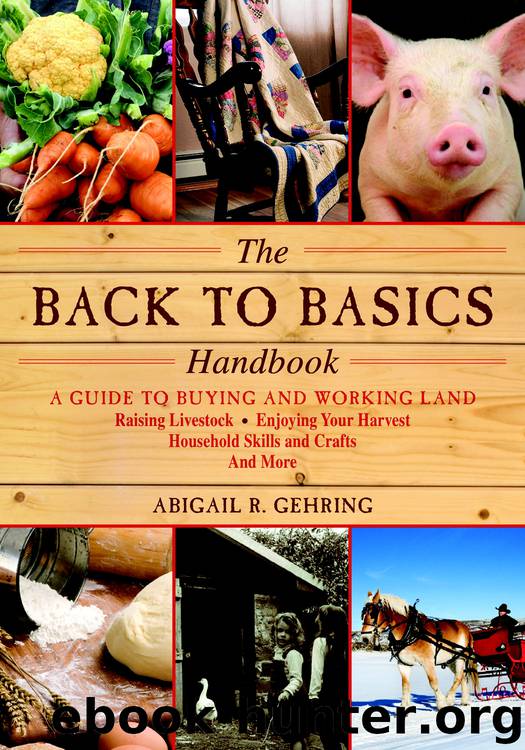 The Back to Basics Handbook by Abigail R. Gehring