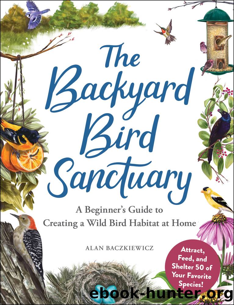 The Backyard Bird Sanctuary by Alan Baczkiewicz