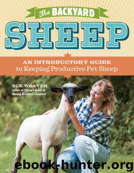 The Backyard Sheep by Sue Weaver