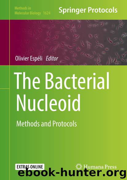 The Bacterial Nucleoid by Olivier Espéli