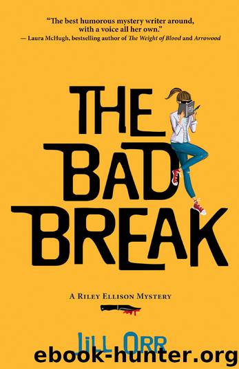 The Bad Break by Jill Orr