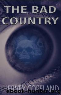 The Bad Country by Hervey Copeland