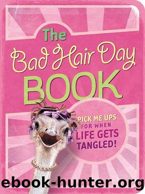 The Bad Hair Day Book by Mark Gilroy Communications