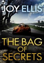 The Bag of Secrets by Joy Ellis