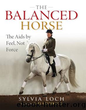 The Balanced Horse by SYLVIA LOCH