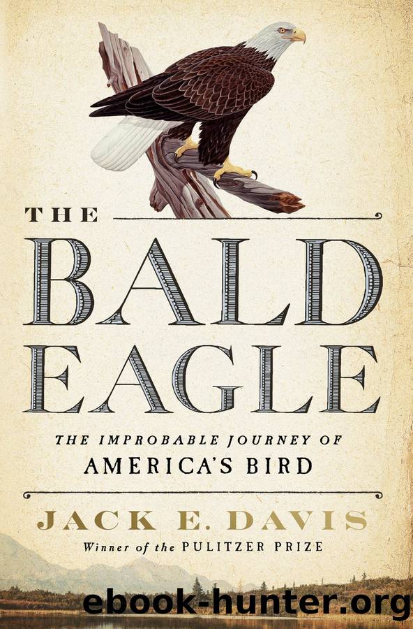 The Bald Eagle by Jack E. Davis