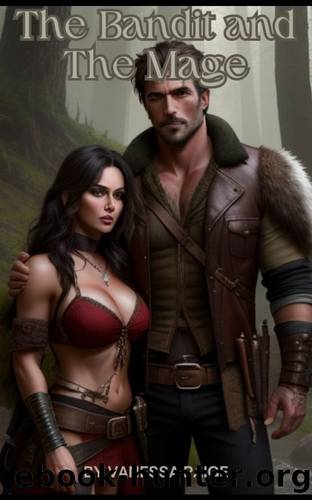 The Bandit and The Mage by Vanessa Paige