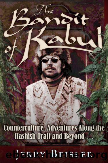 The Bandit of Kabul by Jerry Beisler
