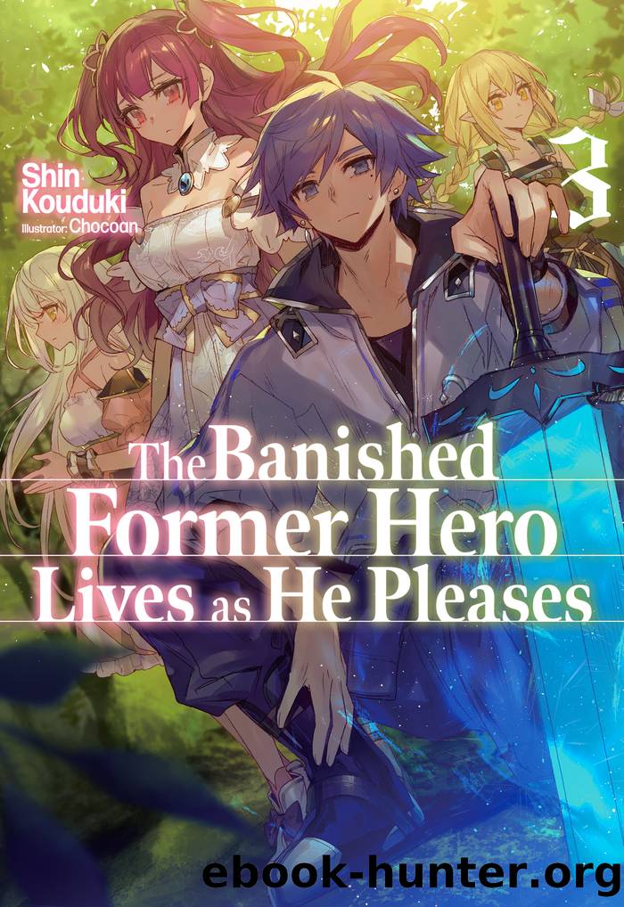 The Banished Former Hero Lives as He Pleases: Volume 3 by Shin Kouduki
