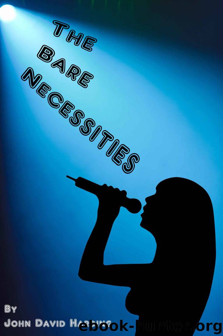 The Bare Necessities by John David Harding