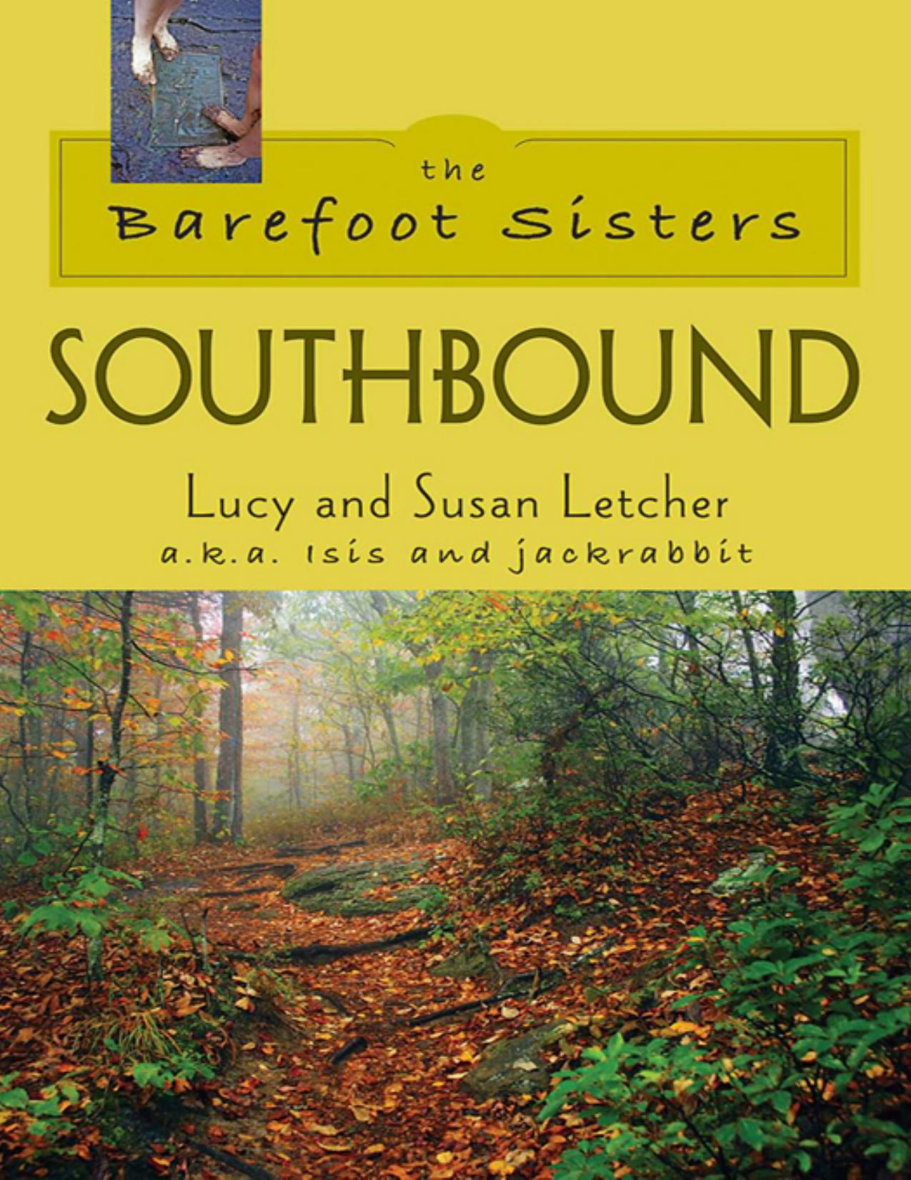 The Barefoot Sisters Southbound by Lucy Letcher