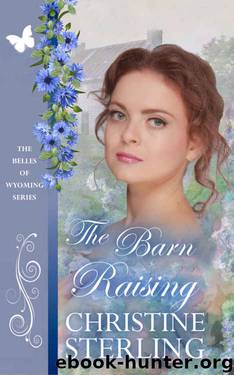 The Barn Raising by Christine Sterling