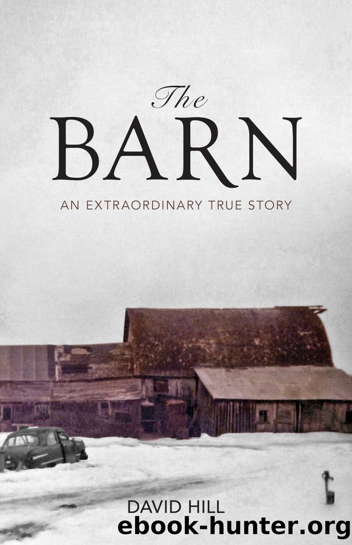 The Barn by David Hill