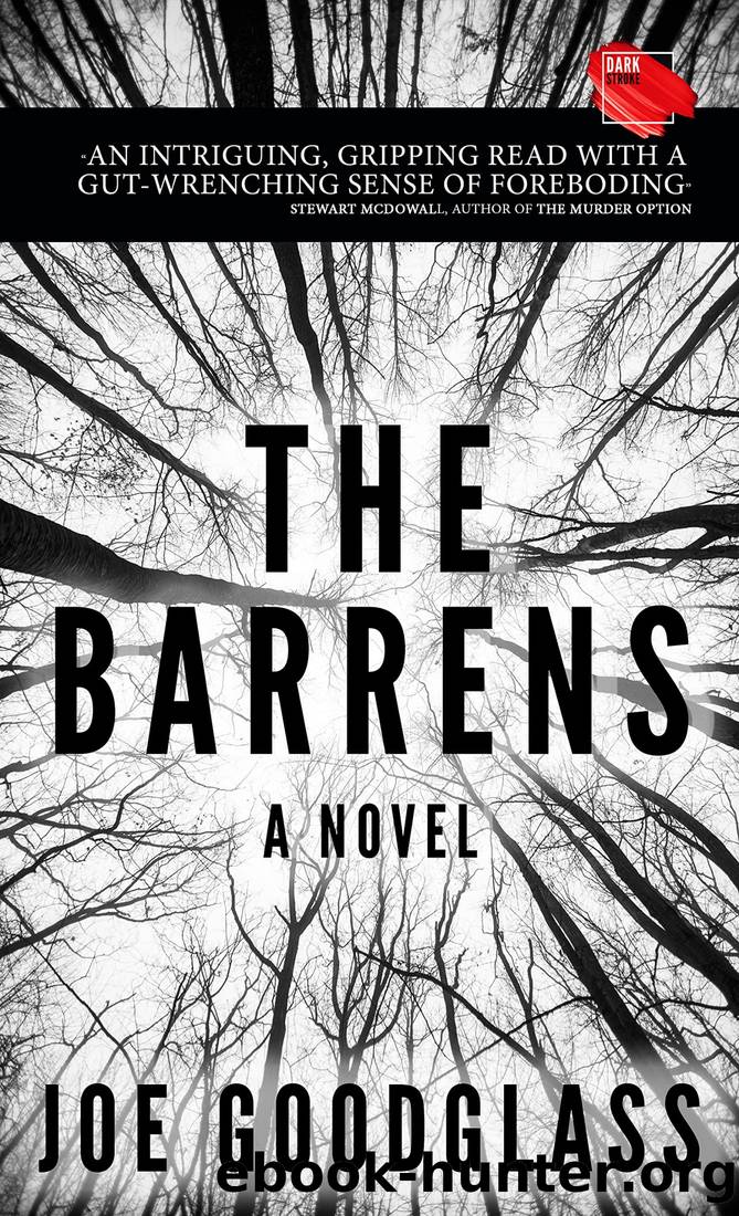 The Barrens by Joe Goodglass