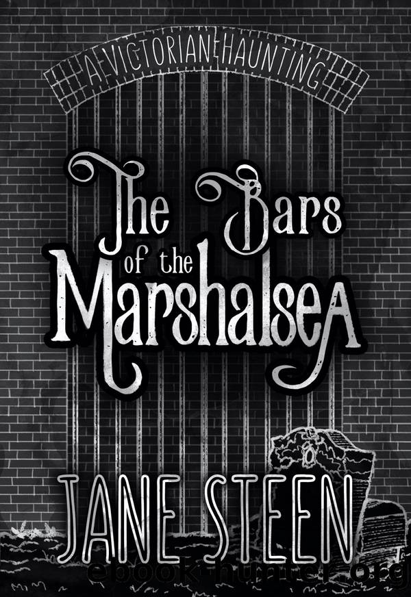 The Bars of the Marshalsea by Jane Steen