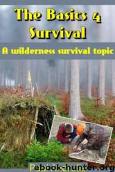 The Basics 4 Survival by Paul Andrulis