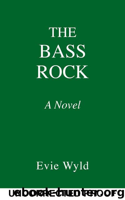 The Bass Rock by Evie Wyld