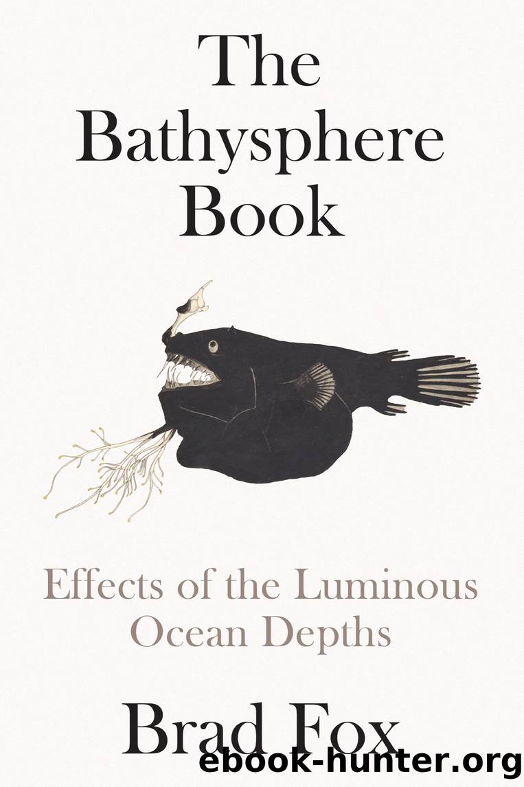 The Bathysphere Book by Brad Fox