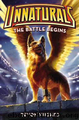 The Battle Begins by Devon Hughes