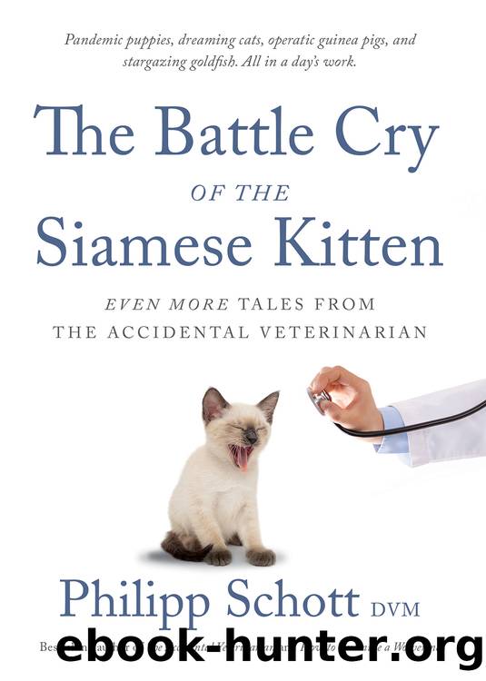The Battle Cry of the Siamese Kitten by Philipp Schott DVM