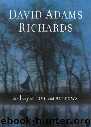 The Bay of Love and Sorrows by David Adams Richards