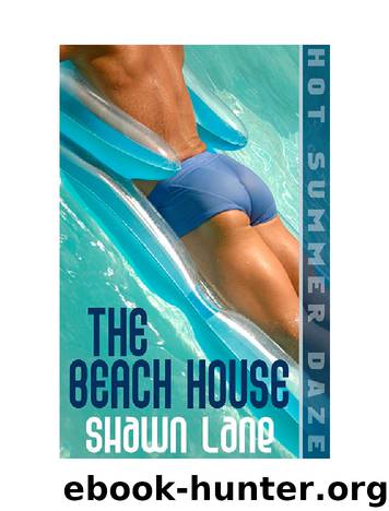 The BeachHouse by Shawn Lane