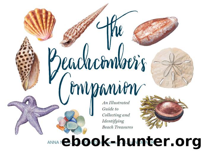 The Beachcomber’s Companion by Anna Marlis Burgard & Jillian Ditner