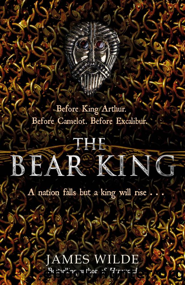 The Bear King by James Wilde
