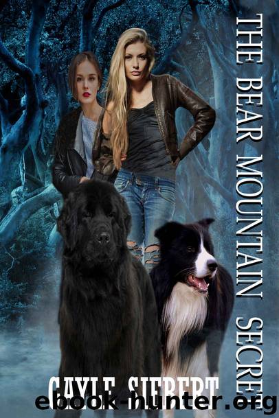 The Bear Mountain Secret by Gayle Siebert