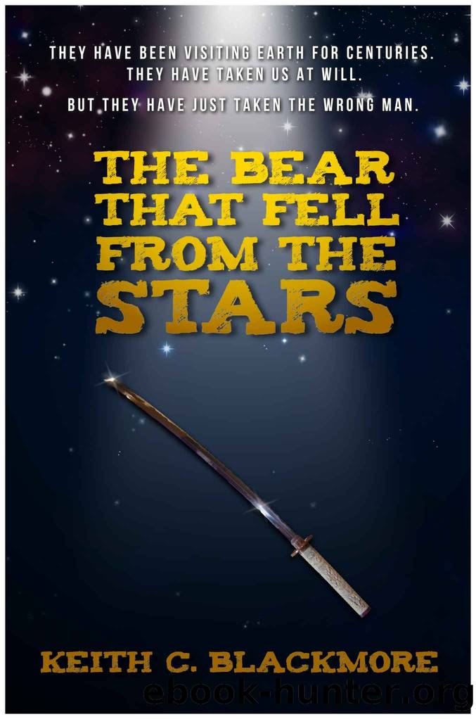 The Bear That Fell From The Stars by Keith C. Blackmore