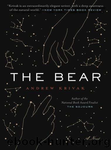 The Bear by Andrew Krivák
