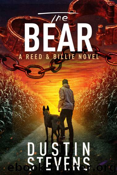 The Bear by Dustin Stevens