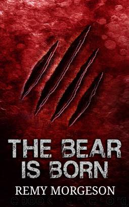 The Bear is Born by Remy Morgeson