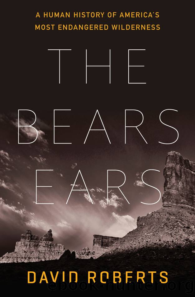 The Bears Ears by David Roberts