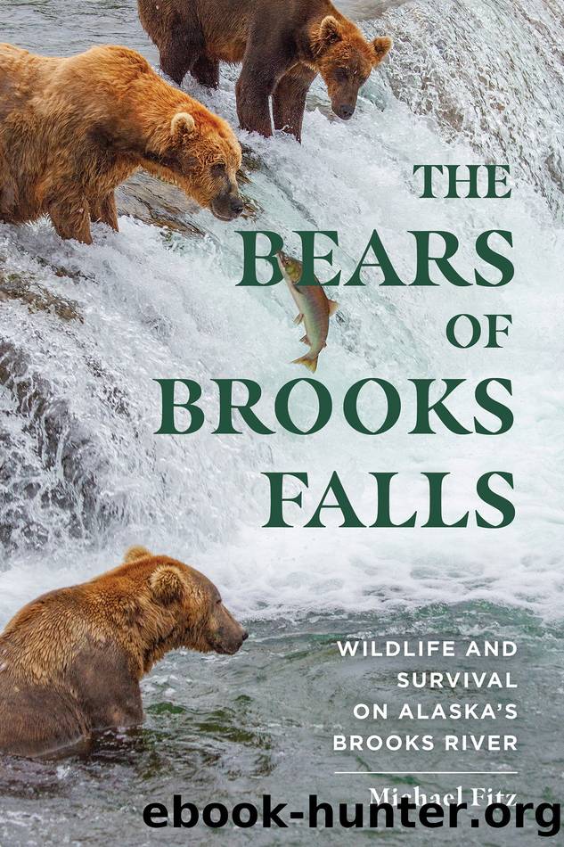 The Bears of Brooks Falls by Michael Fitz