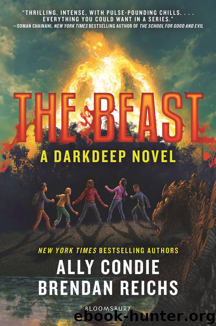 The Beast by Ally Condie