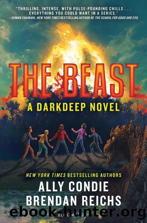 The Beast by Condie Ally & Reichs Brendan