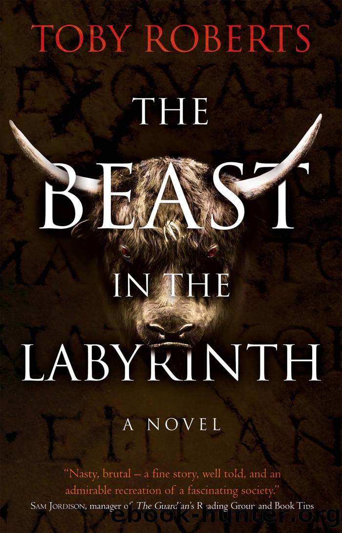 The Beast in the Labyrinth by Toby Roberts