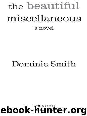 The Beautiful Miscellaneous by Dominic Smith