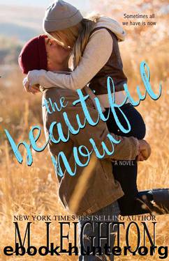The Beautiful Now by M. Leighton