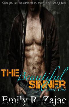 The Beautiful Sinner by Emily Zajac