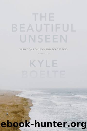 The Beautiful Unseen by Kyle Boelte