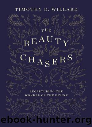 The Beauty Chasers by Timothy D. Willard