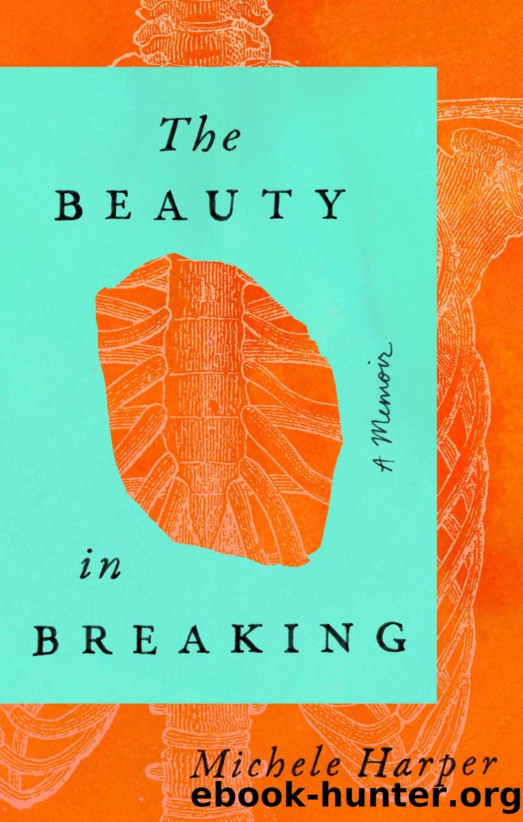 The Beauty in Breaking by Michele Harper