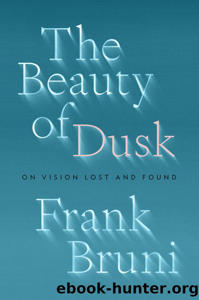 The Beauty of Dusk by Frank Bruni