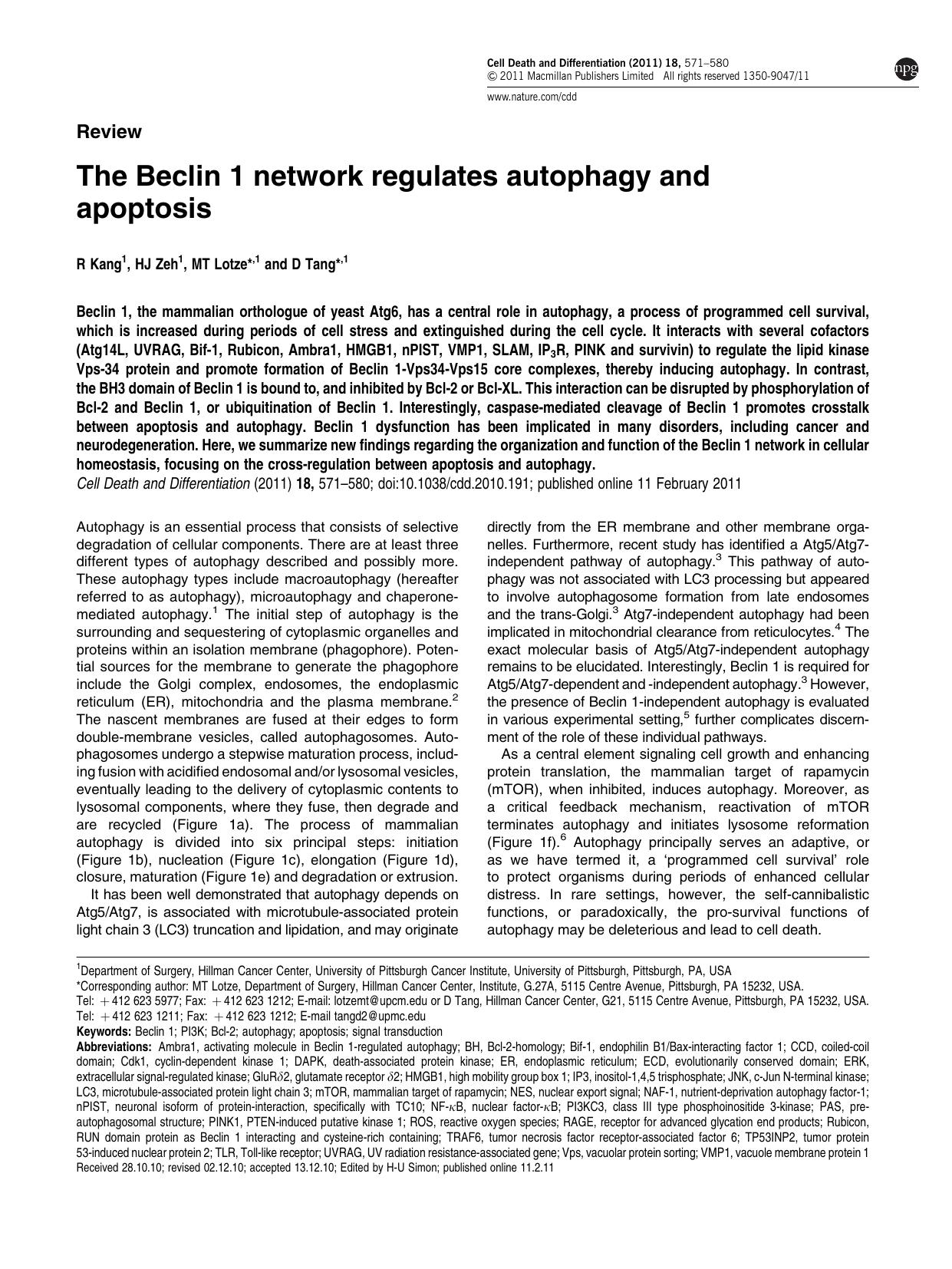 The Beclin 1 network regulates autophagy and apoptosis by R Kang & H J Zeh & M T Lotze & D Tang