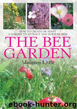 The Bee Garden by Maureen Little