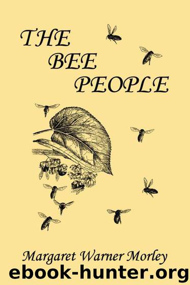 The Bee People (Yesterday's Classics) by Morley Margaret W