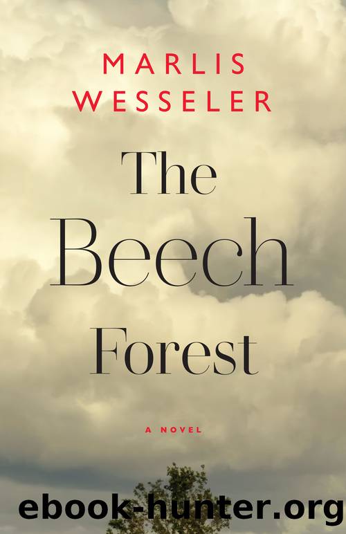 The Beech Forest by Marlis Wesseler